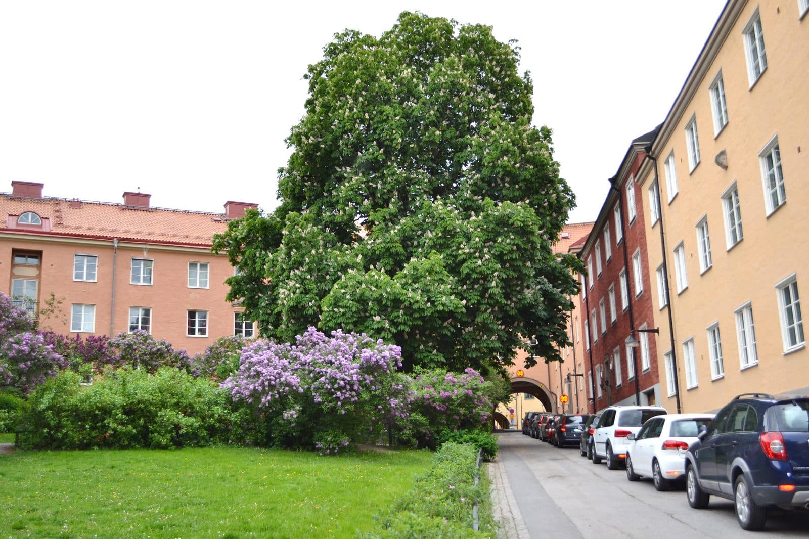 Röda Bergen i Vasastan, kvarteren runt mottagningen